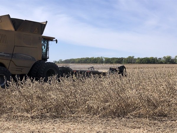 Soybean harvest