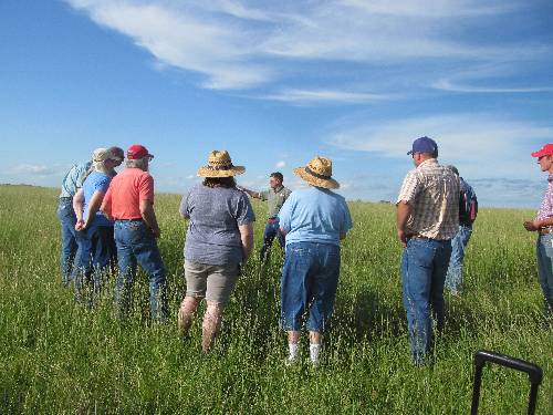 Group of people standing in a grassy field while one person gestures and speaks under a blue sky with scattered clouds.